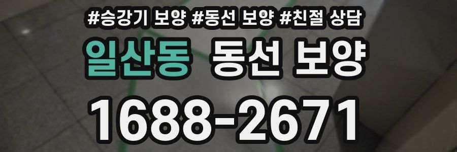 일산동 동선 보양