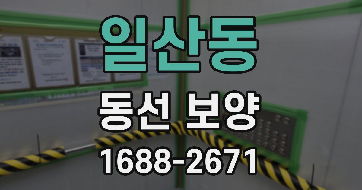 일산동 동선 보양