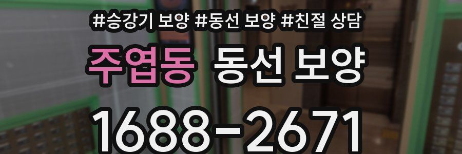 주엽동 동선 보양