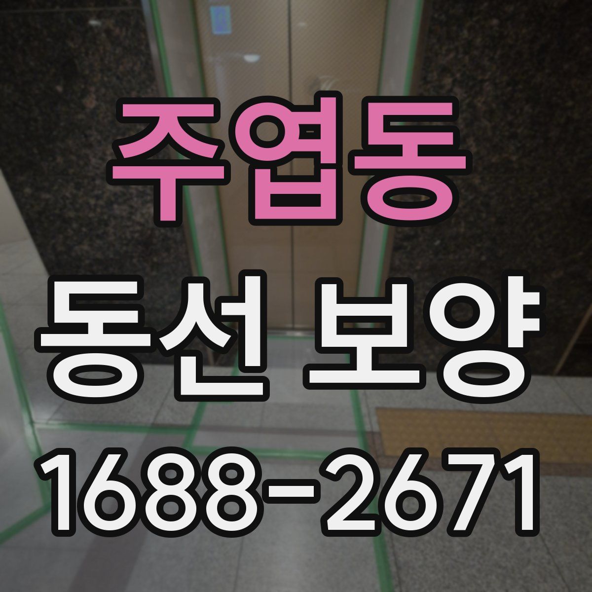 주엽동 동선 보양