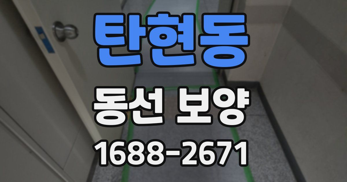 탄현동 동선 보양