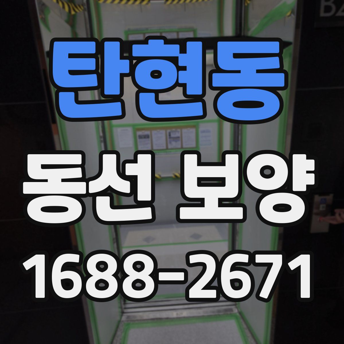 탄현동 동선 보양