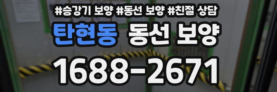 탄현동 동선 보양