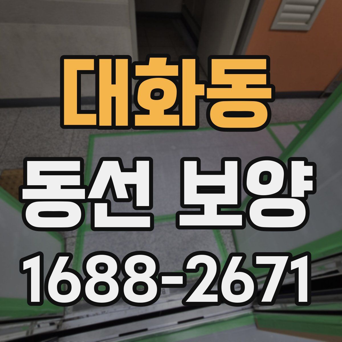 대화동 동선 보양