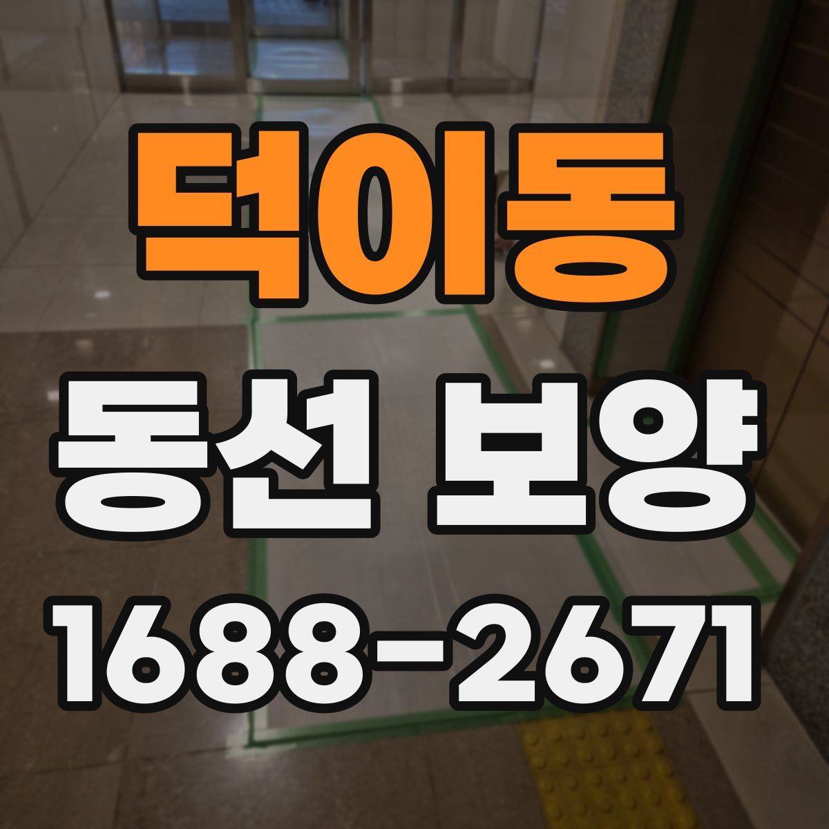 덕이동 동선 보양