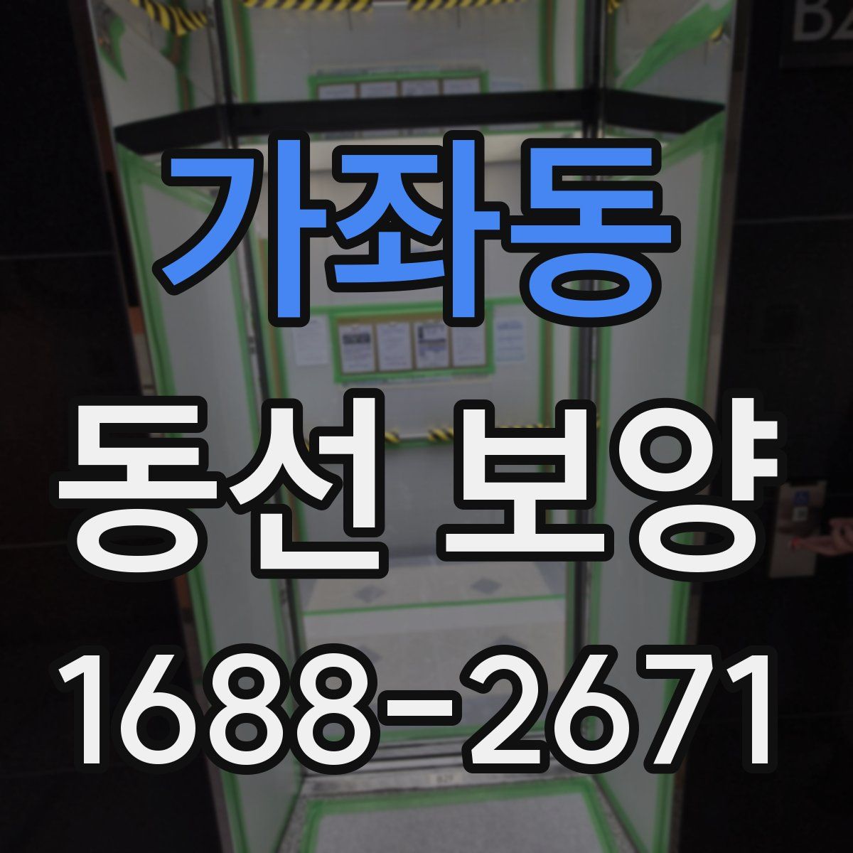 가좌동 동선 보양