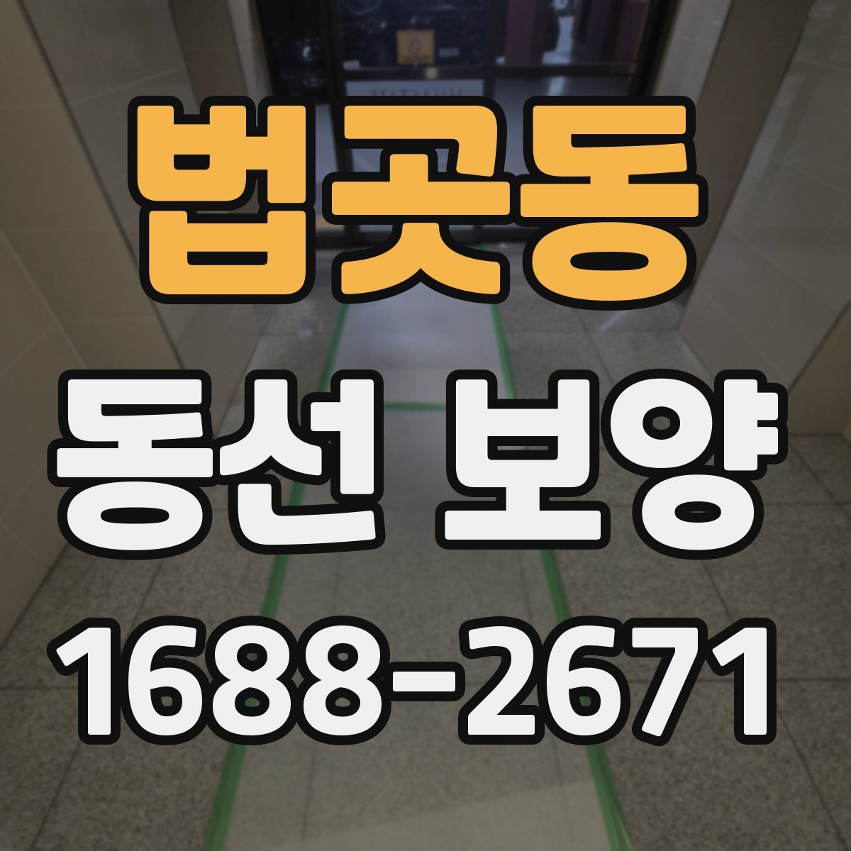 법곳동 동선 보양