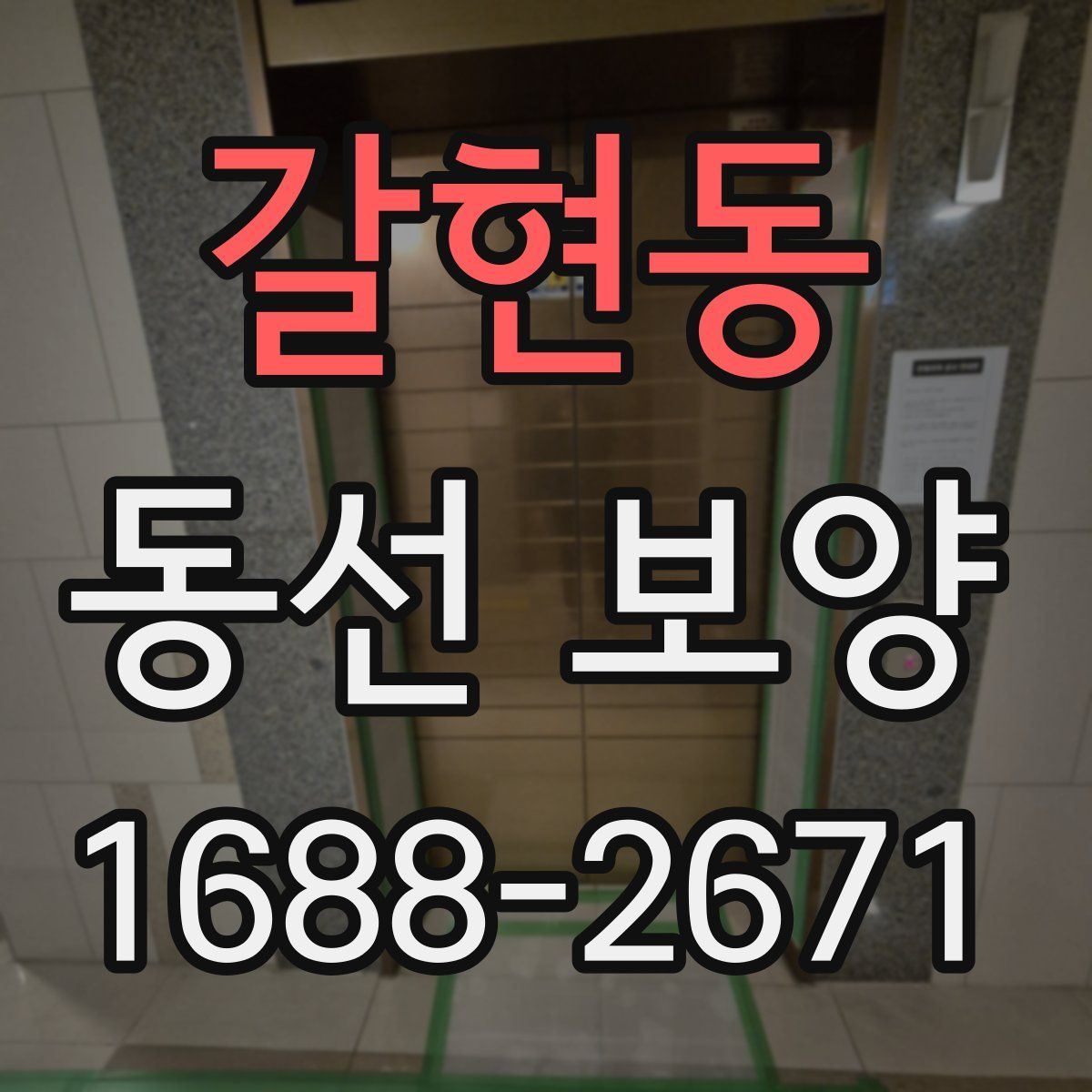 갈현동 동선 보양