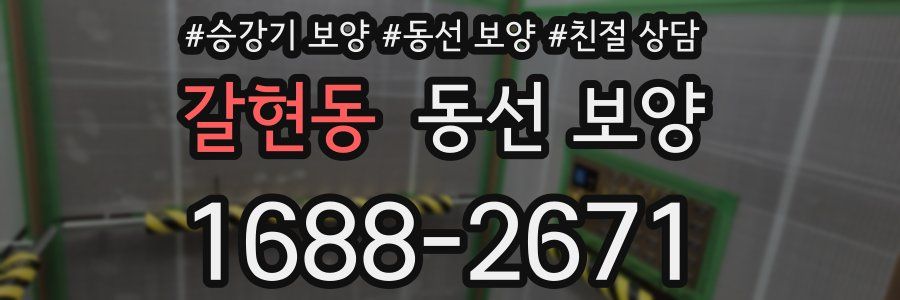 갈현동 동선 보양