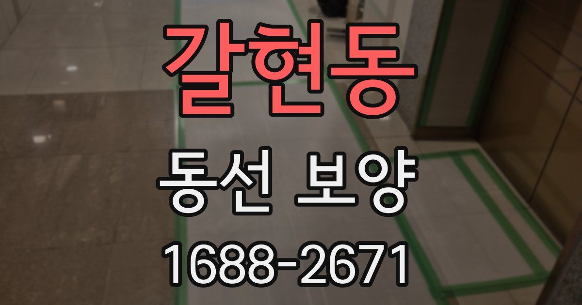 갈현동 동선 보양