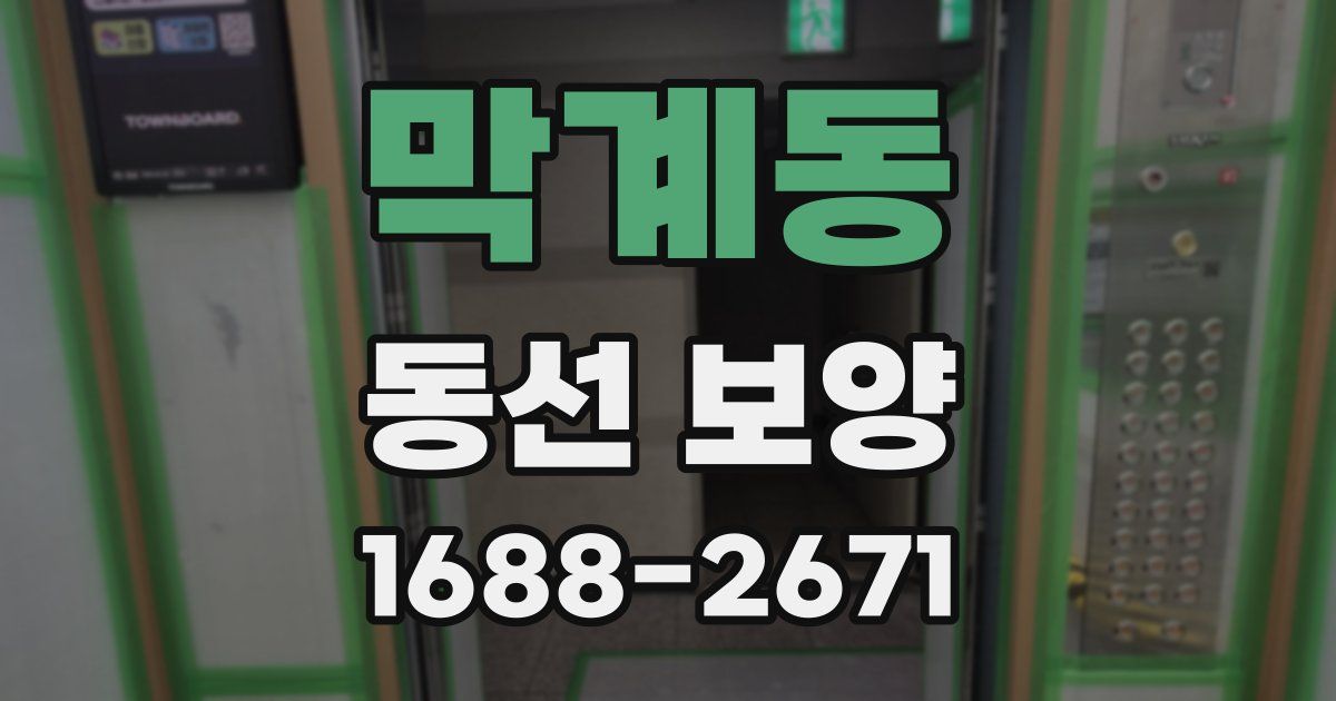 막계동 동선 보양