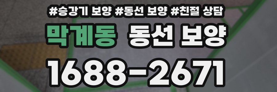 막계동 동선 보양