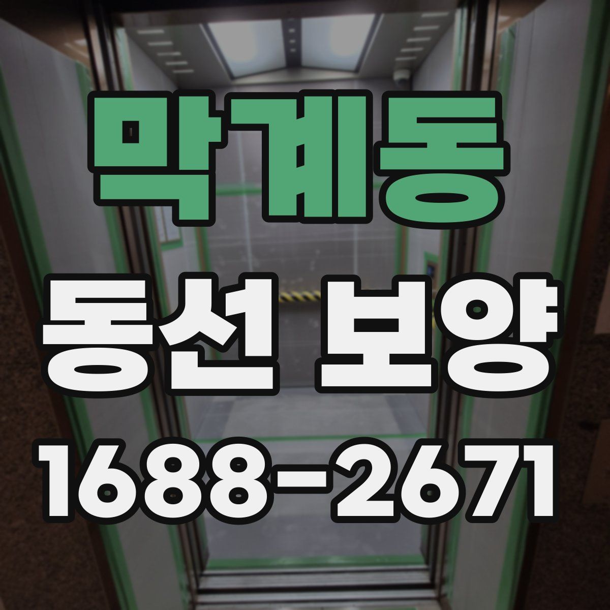 막계동 동선 보양