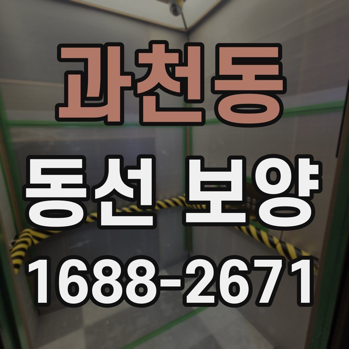 과천동 동선 보양 비용 산정 방식과 참고할 요소