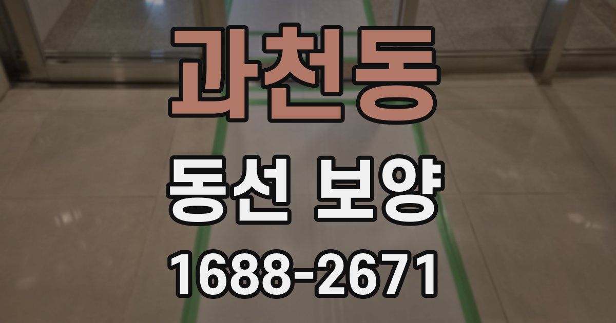 과천동 동선 보양