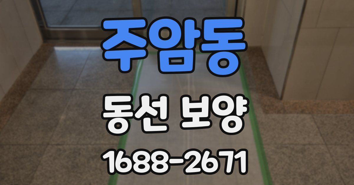 주암동 동선 보양