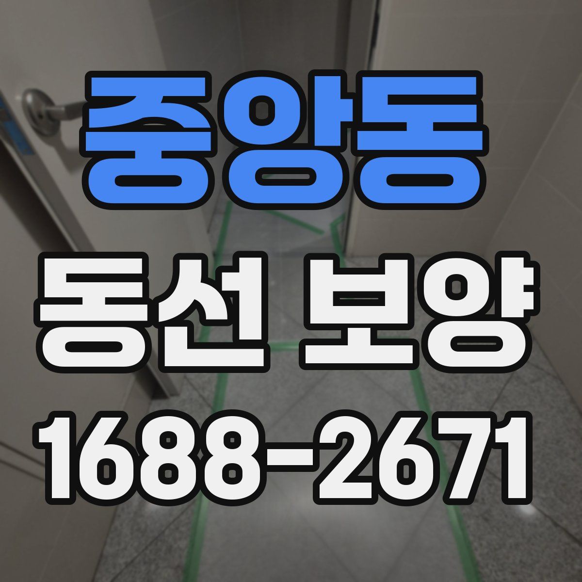 중앙동 동선 보양