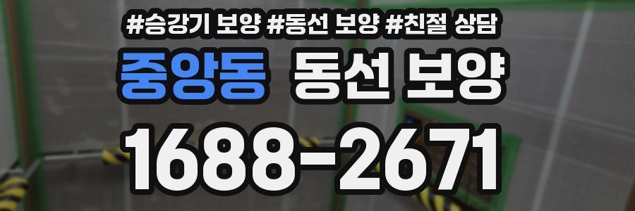중앙동 동선 보양