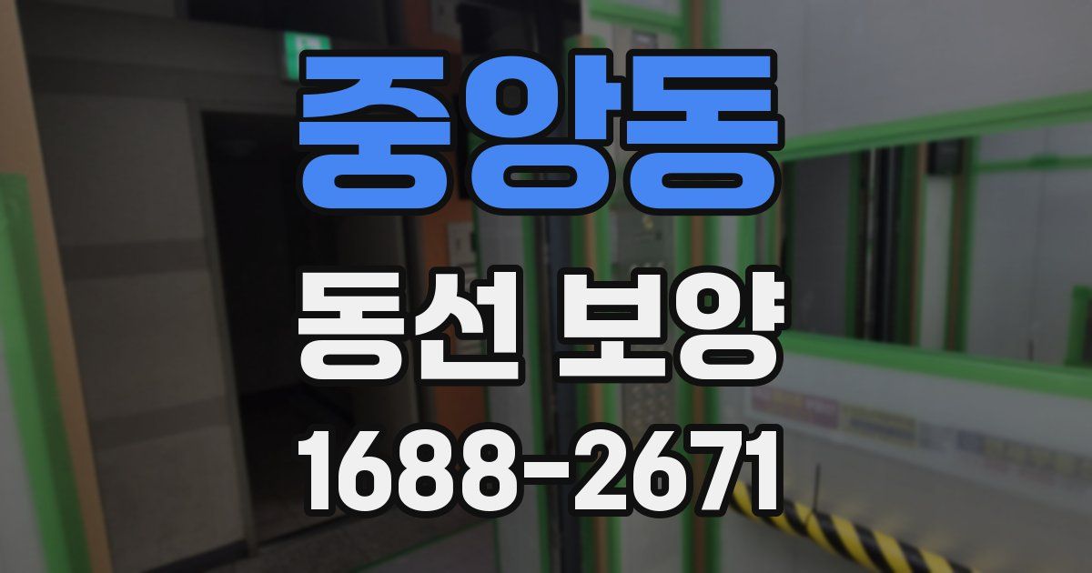 중앙동 동선 보양