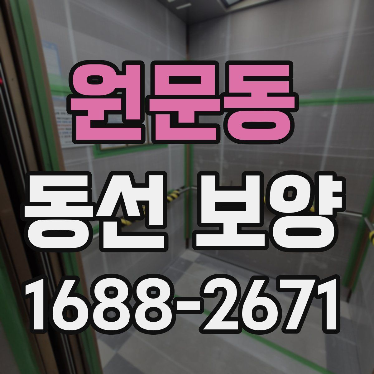 원문동 동선 보양