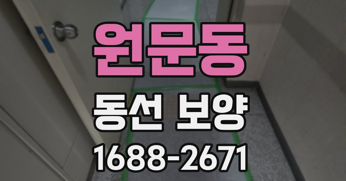 원문동 동선 보양
