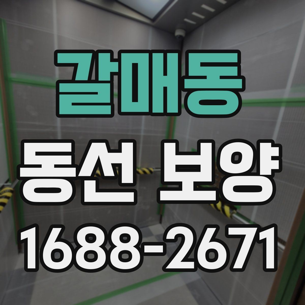 갈매동 동선 보양 작업 전후로 비교해 보는 변화