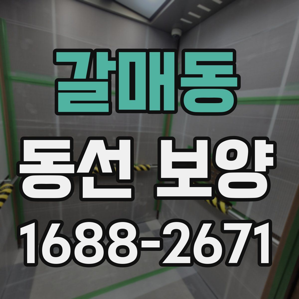 갈매동 동선 보양