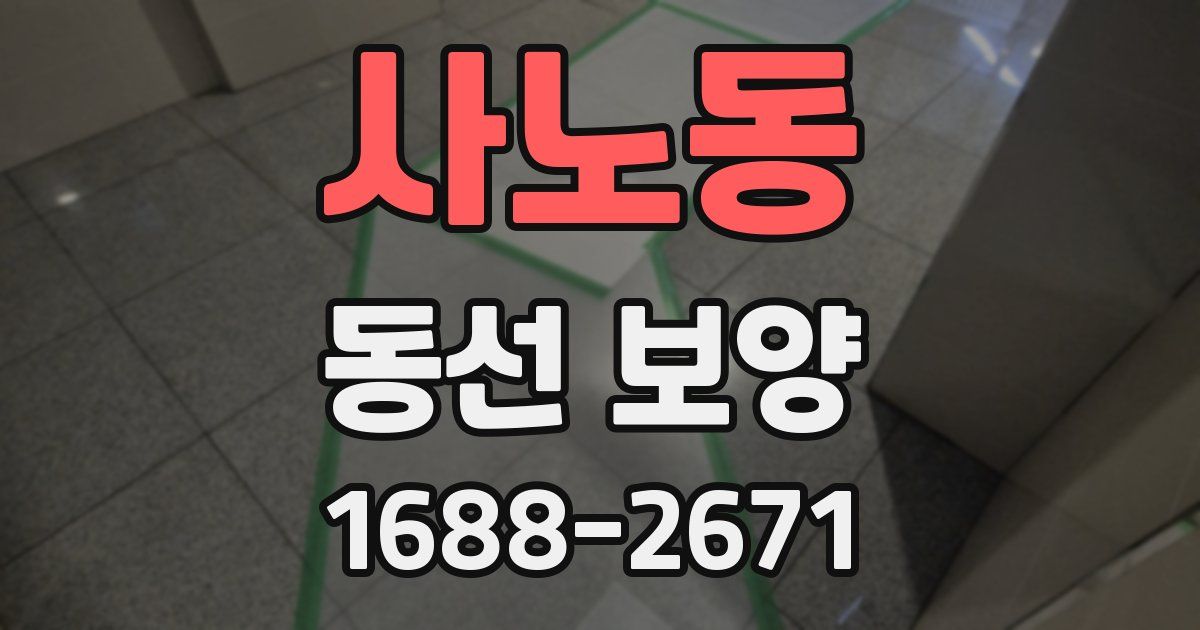 사노동 동선 보양