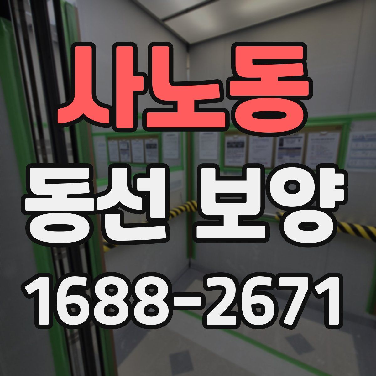 사노동 동선 보양