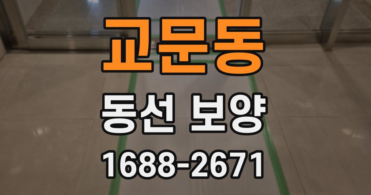 교문동 동선 보양