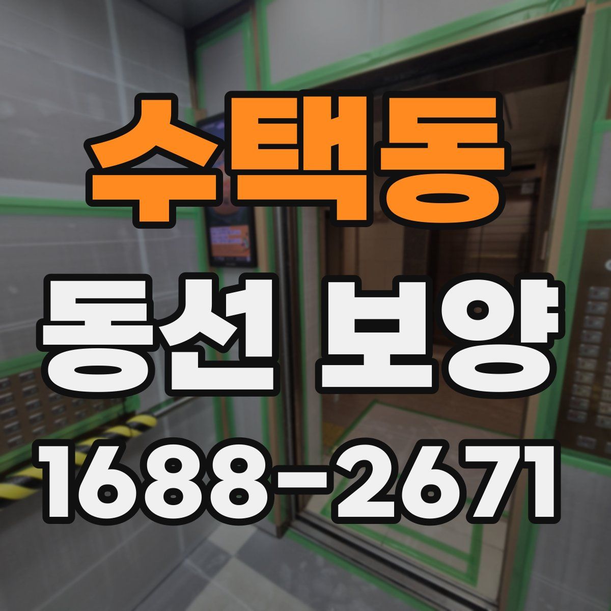 수택동 동선 보양