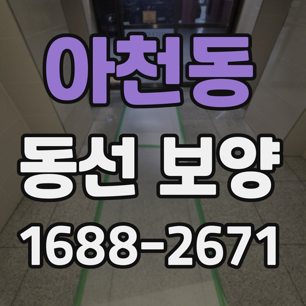 아천동 동선 보양