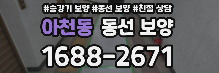 아천동 동선 보양