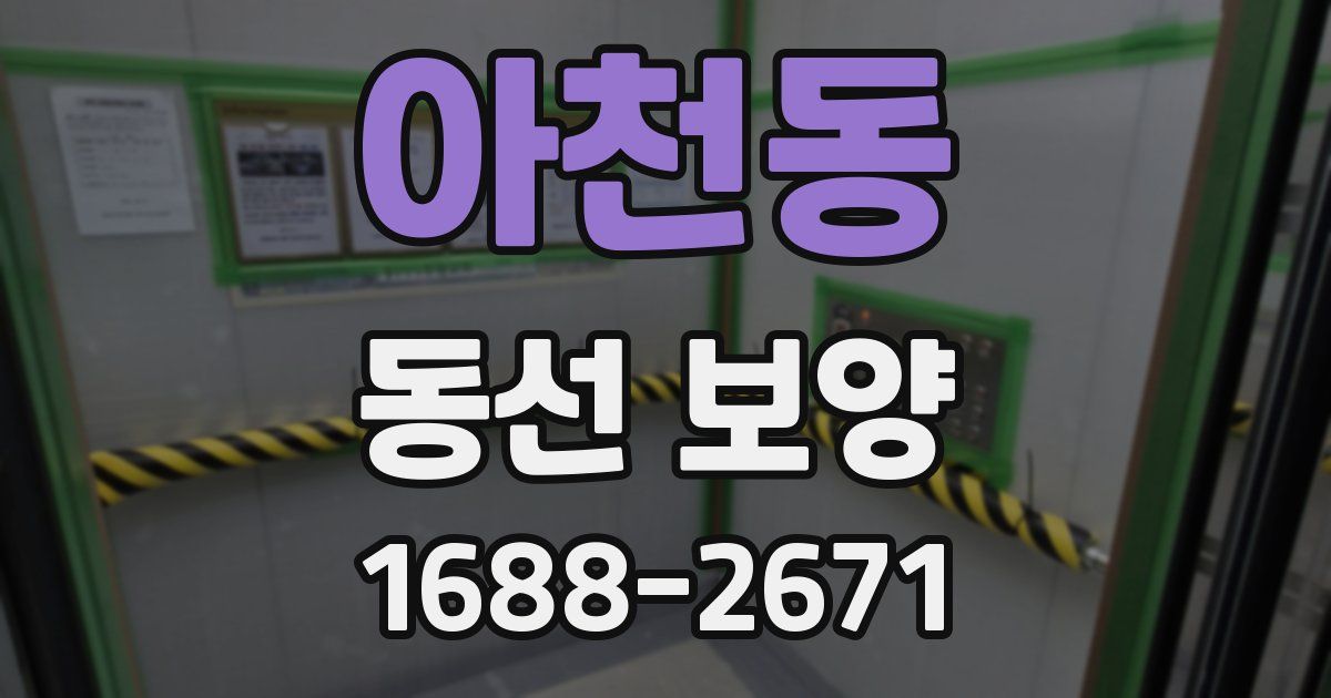 아천동 동선 보양