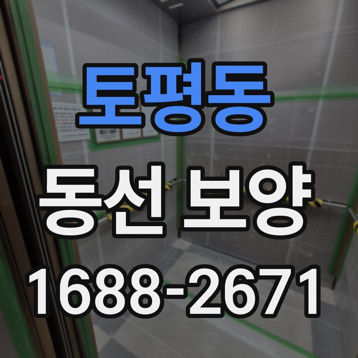 토평동 동선 보양