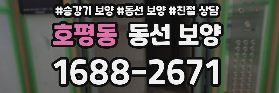 호평동 동선 보양