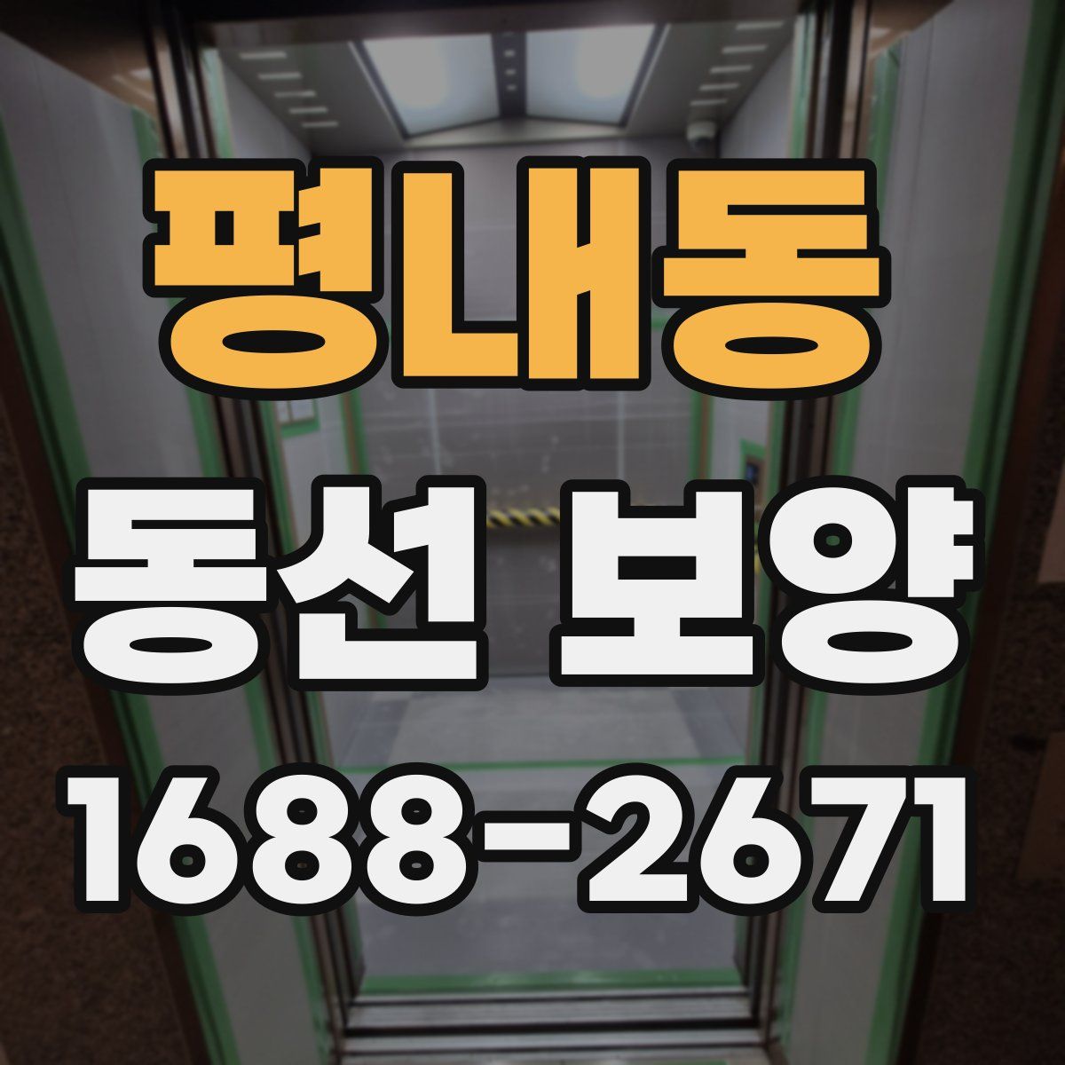 평내동 동선 보양