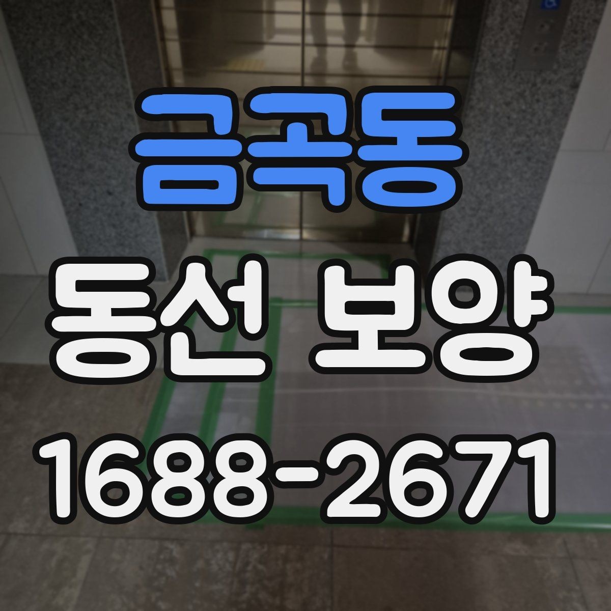 금곡동 동선 보양 현장에서 발생하는 변수와 대처