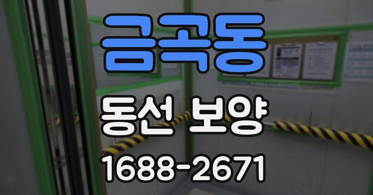 금곡동 동선 보양