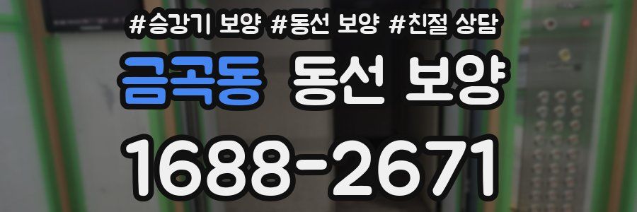 금곡동 동선 보양
