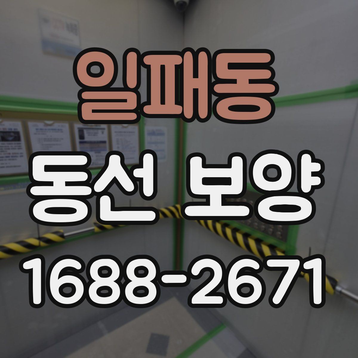 일패동 동선 보양 시공 전 공간 정리 요령