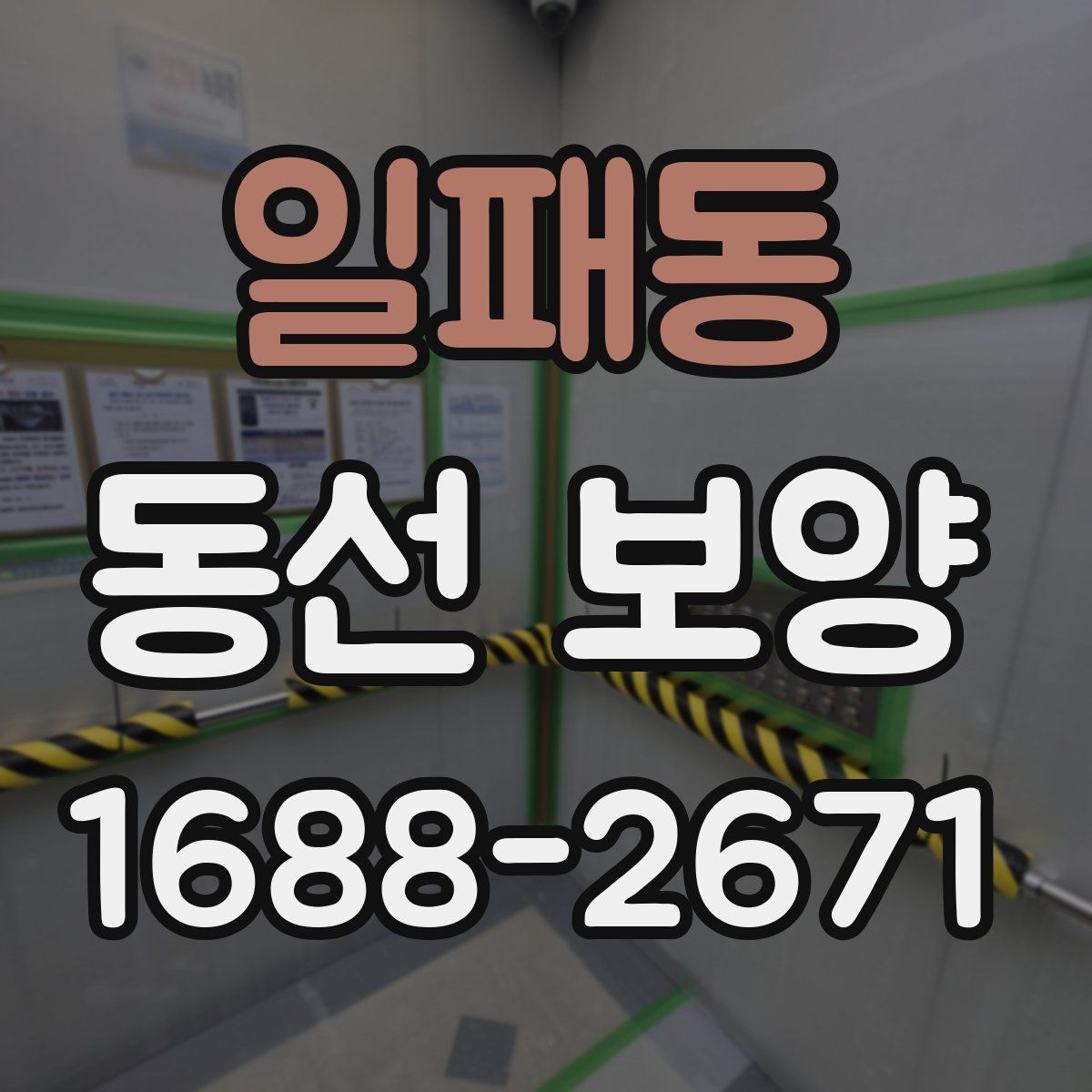 일패동 동선 보양