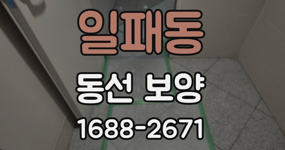 일패동 동선 보양