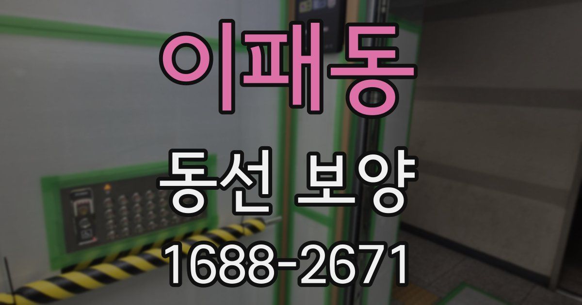 이패동 동선 보양