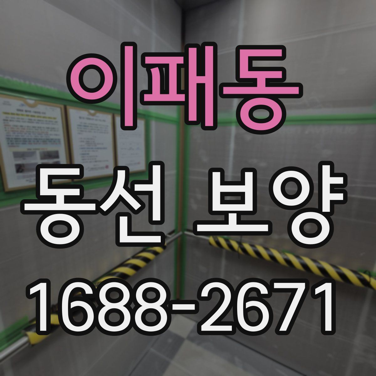 이패동 동선 보양