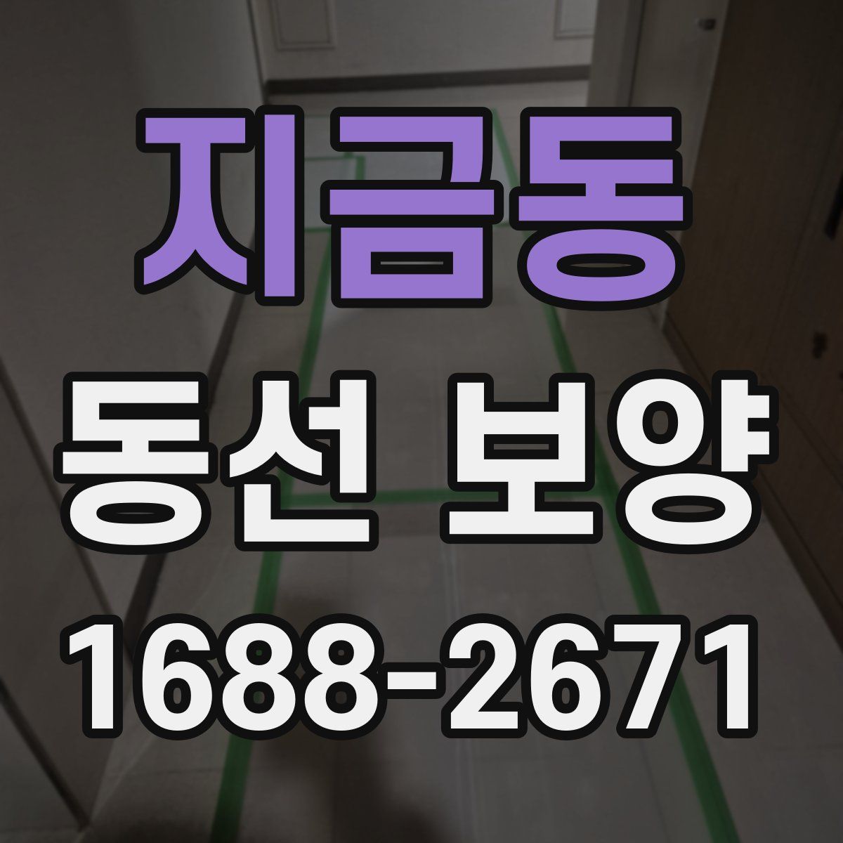 지금동 동선 보양