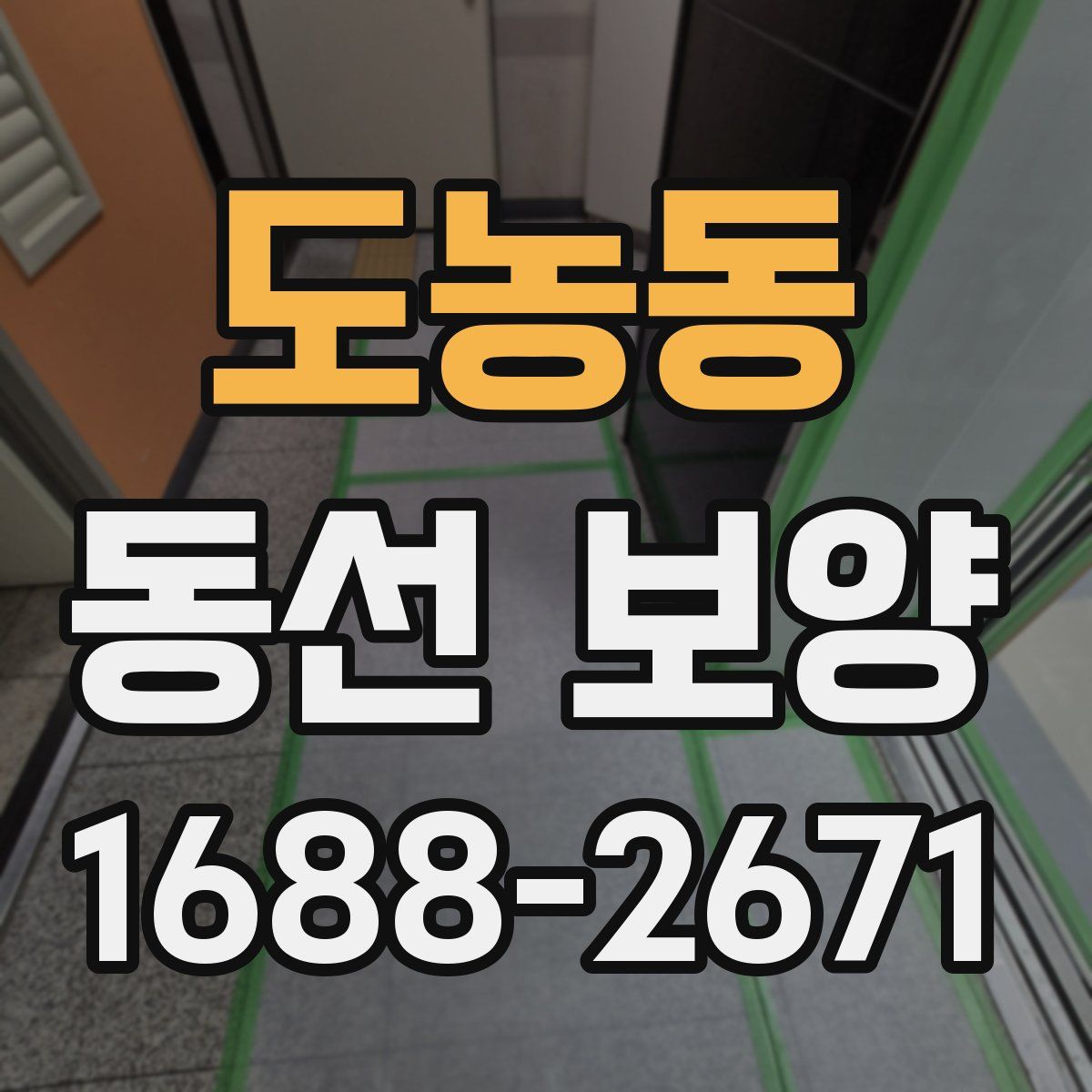 도농동 동선 보양