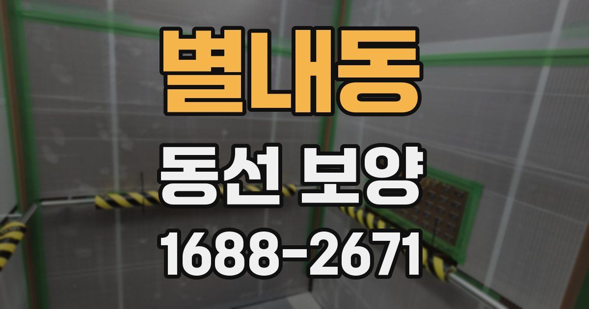 별내동 동선 보양