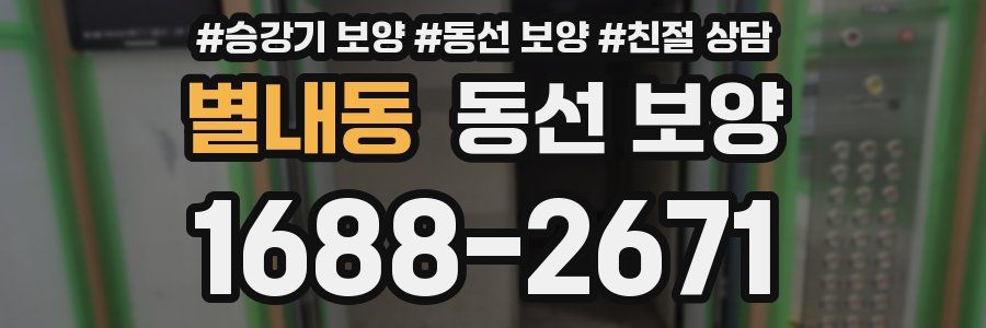 별내동 동선 보양