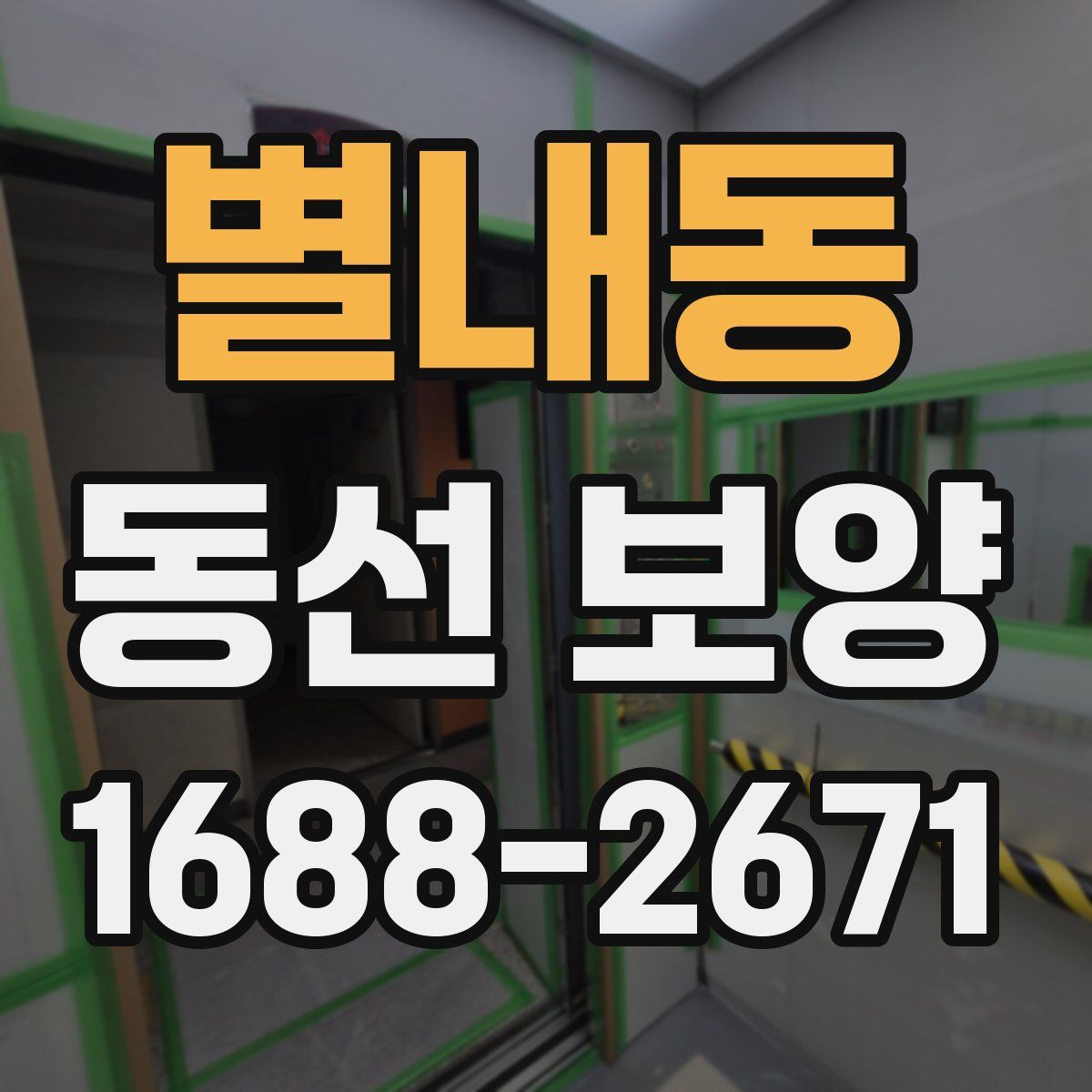 별내동 동선 보양